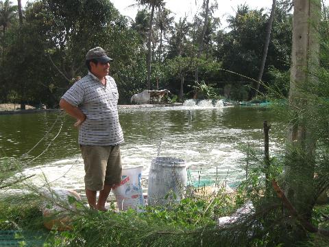 Người nuôi tôm chỉ còn biết trông chờ vào sự may rủi.