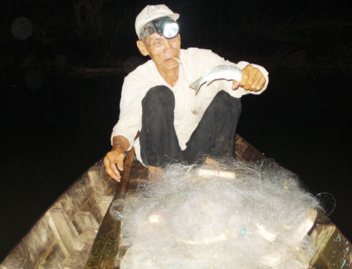 Bác Tám trúng được cá đối lớn