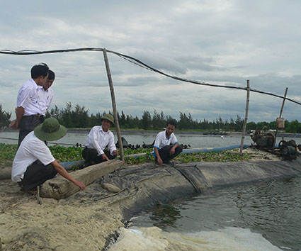 hồ nuôi tôm trên cát ven biển