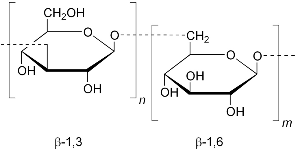 Beta 1-3, 1-6 glucan