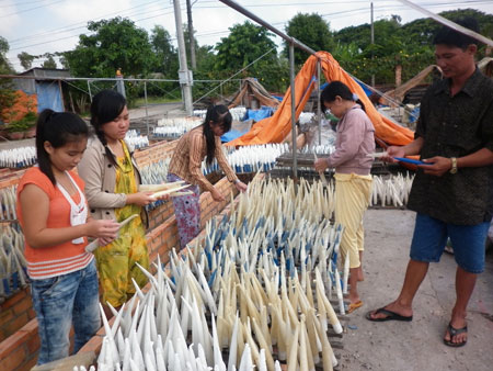 Anh Trần Văn Ngây hướng dẫn phơi bong bóng cá.