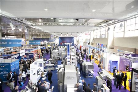 fish processing in brussels