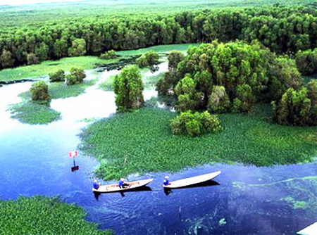 Búng Bình Thiên - An Giang