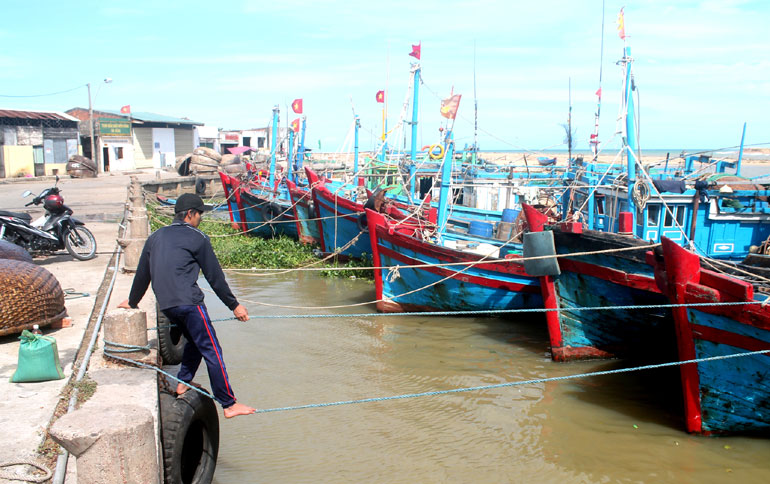 không bán cá