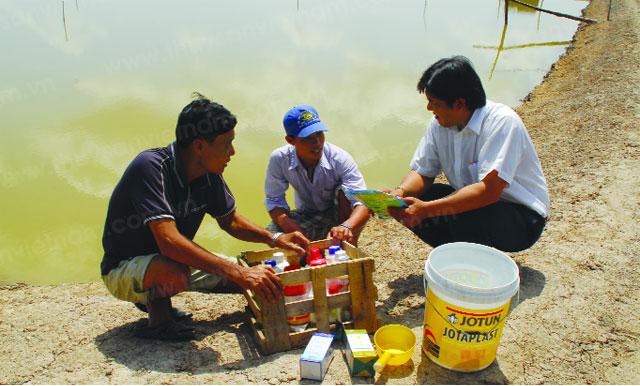 Cần lựa chọn sản phẩm CPSH chất lượng để nuôi tôm đạt hiệu quả cao - Ảnh: Phan Thanh Cường