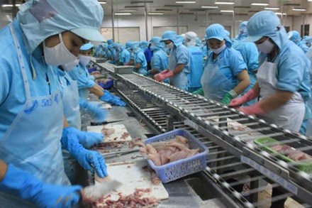 Hoạt động sản xuất tại Bianfishco đã được khôi phục.