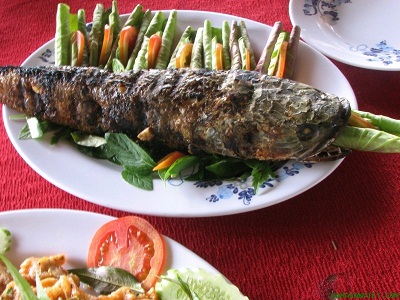 cá lóc lùi lửa