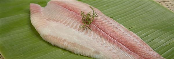 fillet cá tra