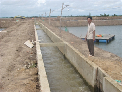 Nuôi cá tra ở Đồng Tháp