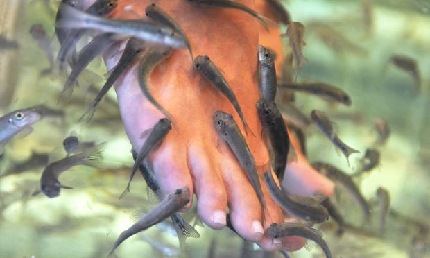 Ảnh minh họa (Nguồn: Internet)