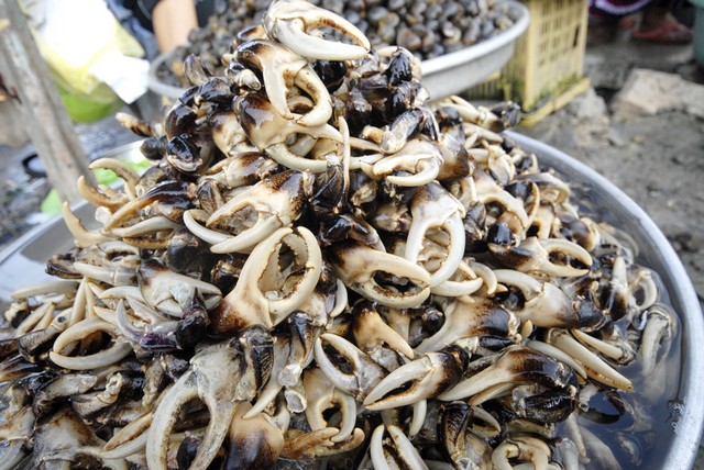 Càng cua đồng bán ở các chợ&nbsp;&nbsp;tại Cần Thơ