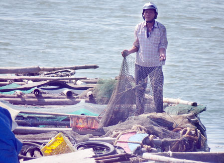 cắt lưới lồng bè