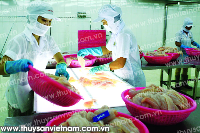 Liệu VietGAP có tạo được chỗ đứng đối với người tiêu dùng và cộng đồng quốc tế hay không? - Ảnh: Duy Khương