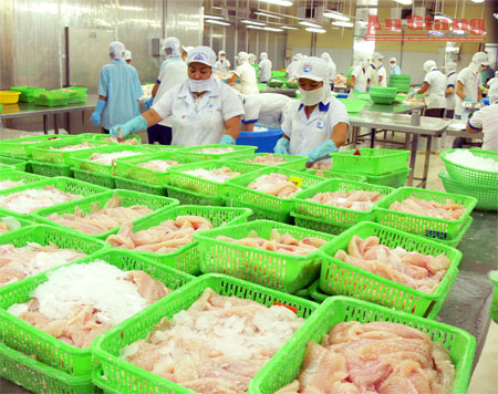 Chế biến cá tra xuất khẩu (Ảnh minh họa)