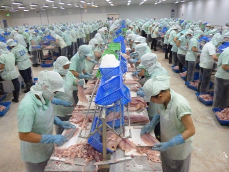 chế biến cá tra xuất khẩu