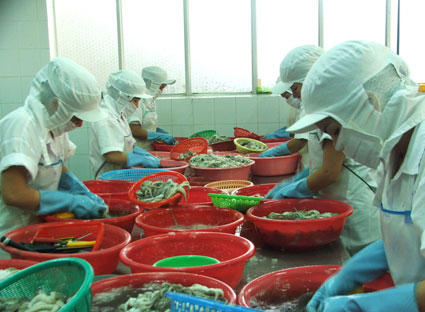 Chế biến mực