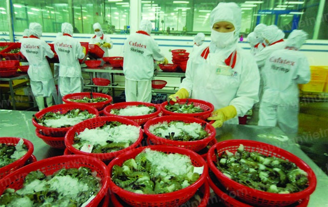 2012 - năm khó khăn song ngành tôm cơ bản đạt chỉ tiêu kế hoạch - Ảnh: Phương Chăm