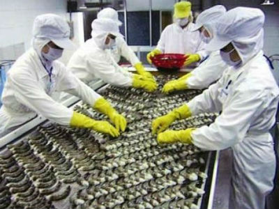 Chế biến tôm xuất khẩu