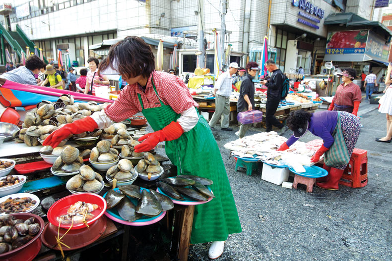 Tu hài, điệp cắm