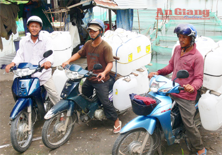 Chở cá lóc giống