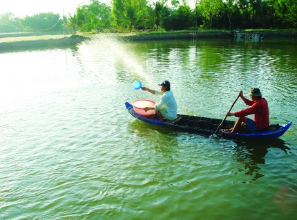 Káº¿t quáº£ hÃ¬nh áº£nh cho cho tÃ´m Äƒn