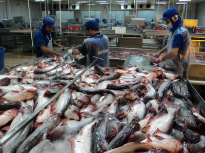 Sau đại hội cổ đông ngày 17/10, một tuần sau ông Trần Văn Trí (áo xanh đậm) từ nhiệm Tổng giám đốc, giao quyền điều hành Công ty Bình An cho bầu Hiển (cầm micro). Hiện Công ty Bình An đã có Tổng giám đốc mới. Ảnh: Thiên Phước