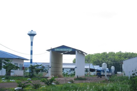 Cty CP chăn nuôi Bình Phước