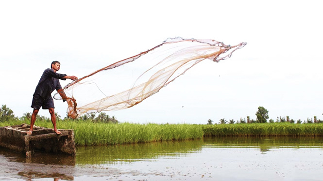 Cù lao mặn-ngọt