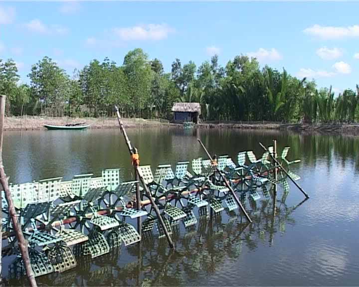 dien tich tom thiet hai