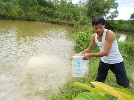 Ông Đoàn Quang Luật