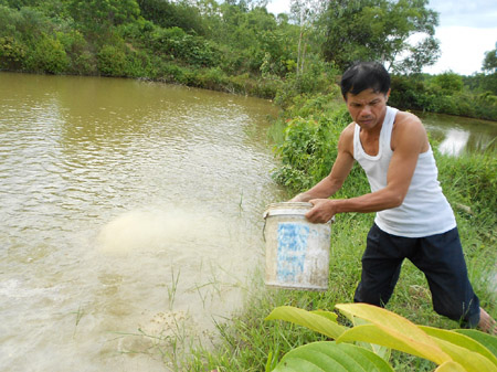 Ông Đoàn Quang Luật