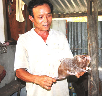 Dúi, huyện Cam Lâm, vật nuôi.