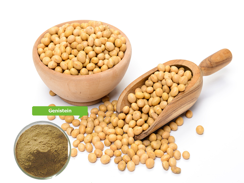 Genistein bổ sung vào thức ăn cá và lưu ý