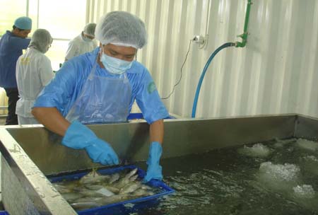 Khai trương Trạm trung chuyển thủy hải sản đầu tiên ở ĐBSCL