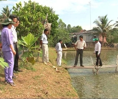 Khảo sát thực tế vùng nuôi cá tra giống tại huyện Hồng Ngự