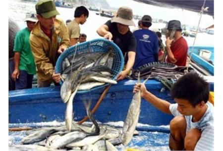 xuất khẩu, châu Phi, Tây Á, Nam Á