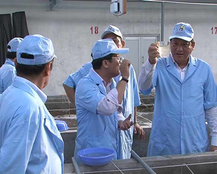 khao sat du an nuoi tom