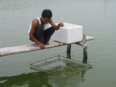 kiểm tra tôm