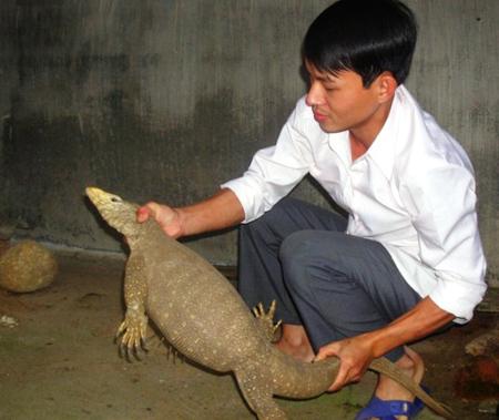 Anh Ánh kiểm tra kỳ đà vân