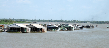Vùng nuôi cá điêu hồng ở xã Bình Thạnh, huyện Cao Lãnh