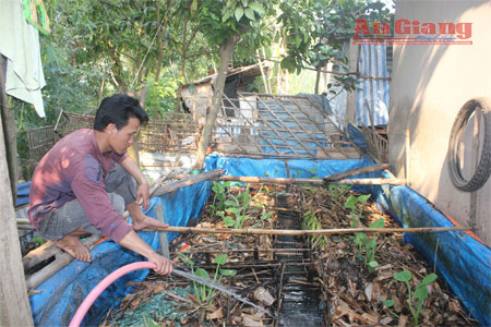 Anh Hồ Văn Tuấn