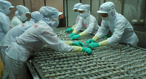 Minh Phú chiếm hơn một nửa kim ngạch xuất khẩu tôm của Việt Nam. Ảnh minh họa: Vietfish