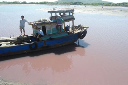Khu vực kênh Ngũ Tàu.