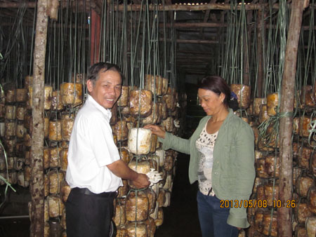 Ông Nguyễn Thanh Bê (trái) đã tạo điều kiện cho nhiều nông dân mất đất sản xuất trên địa bàn vay vốn, làm ăn. Trong đó, nhiều hộ làm nấm có thu nhập cao.