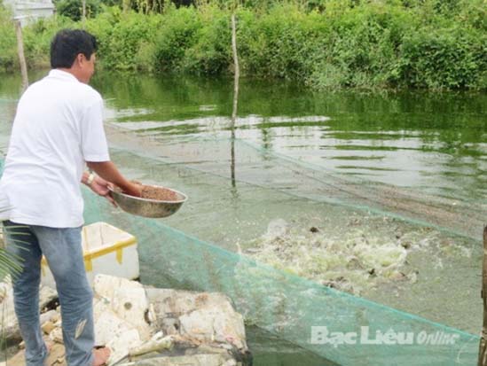 nuôi cá, phế hẩm, Bạc Liêu
