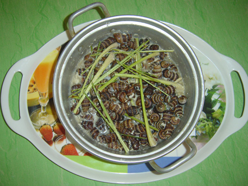 ốc len, hầm dừa, Cà Mau