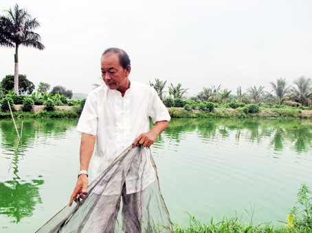 Ông Nguyễn Hoàng Vĩnh, xã Tân Hạnh (TP. Biên Hòa) bên ao nuôi cá lóc. Ảnh: H.Giang