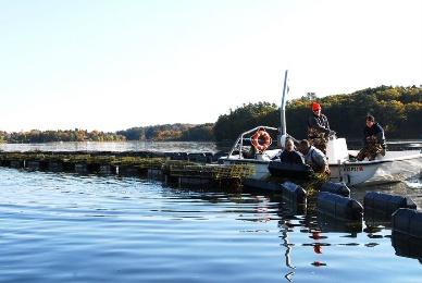 khai thac thuy san tai Bac My khong duoc an toan