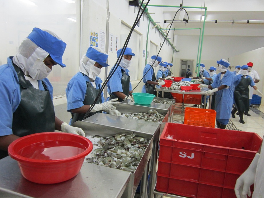 chế biến tôm bangladesh