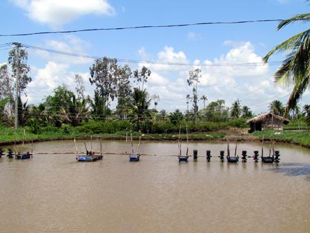 Quạt nước ao nuôi tôm